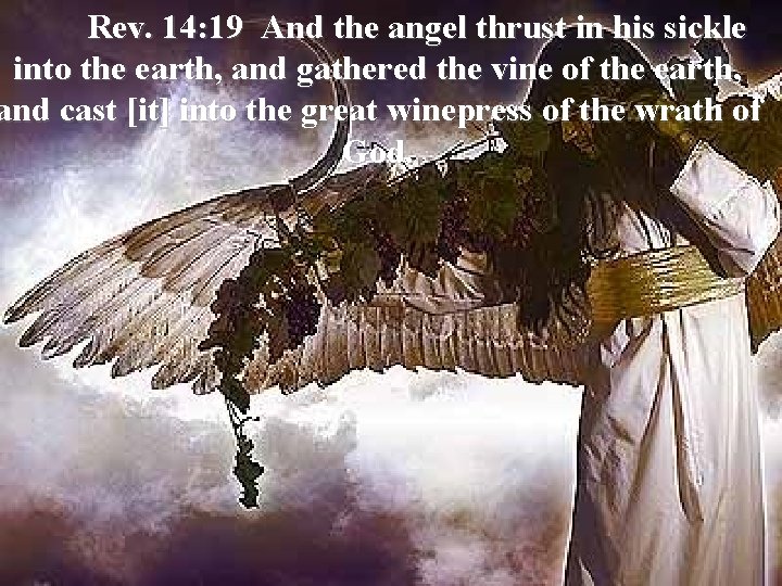 Rev. 14: 19 And the angel thrust in his sickle into the earth, and