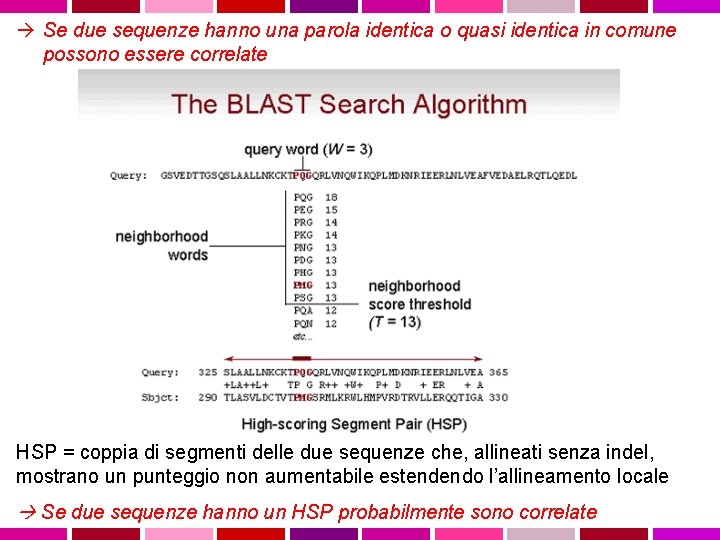  Se due sequenze hanno una parola identica o quasi identica in comune possono