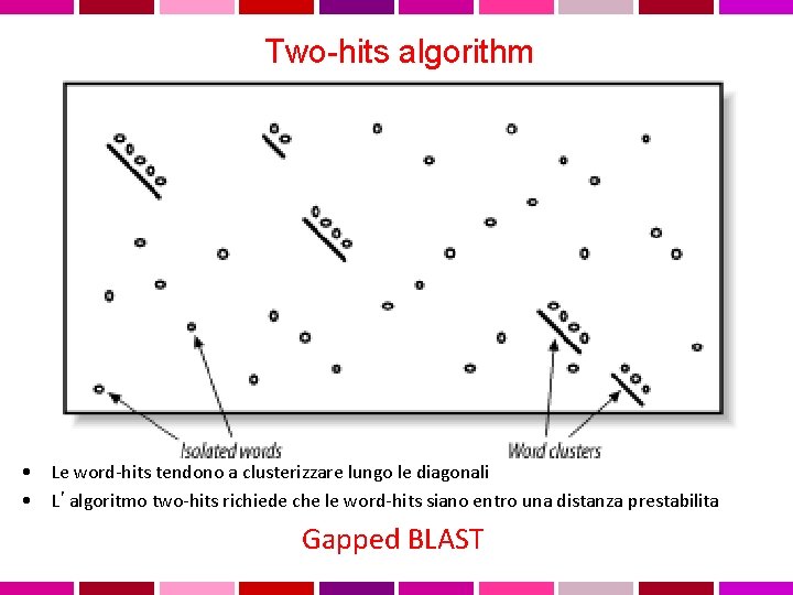 Two-hits algorithm • Le word-hits tendono a clusterizzare lungo le diagonali • L’algoritmo two-hits