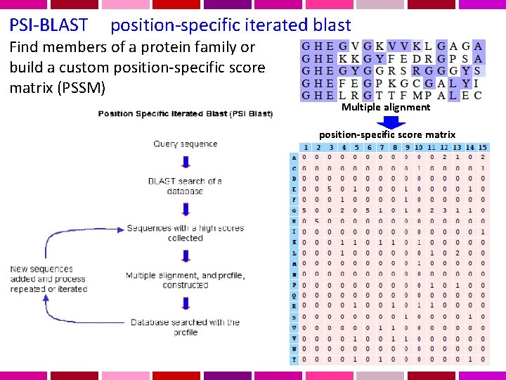 PSI-BLAST position-specific iterated blast Find members of a protein family or build a custom