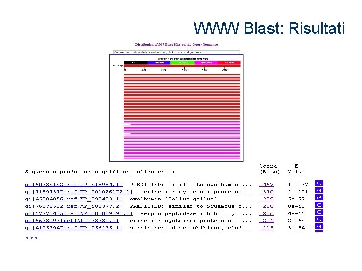 WWW Blast: Risultati … 