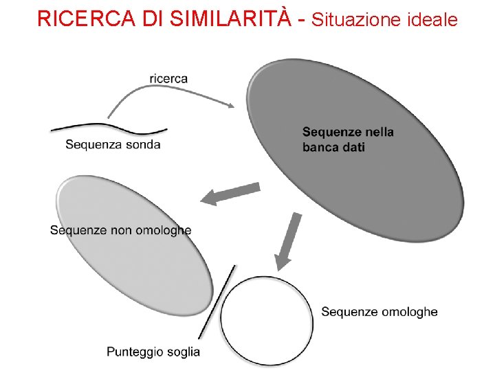 RICERCA DI SIMILARITÀ - Situazione ideale 