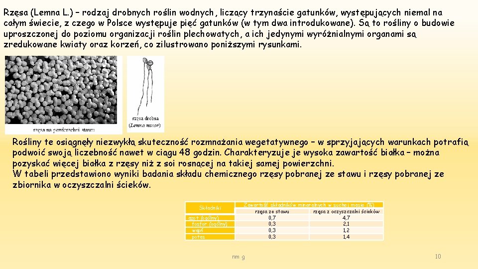 Rzęsa (Lemna L. ) – rodzaj drobnych roślin wodnych, liczący trzynaście gatunków, występujących niemal