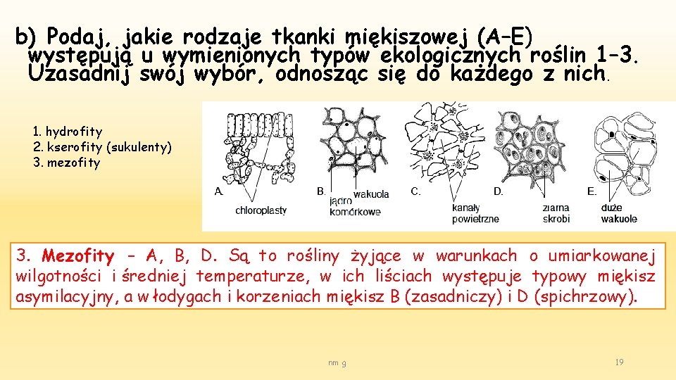 b) Podaj, jakie rodzaje tkanki miękiszowej (A–E) występują u wymienionych typów ekologicznych roślin 1–