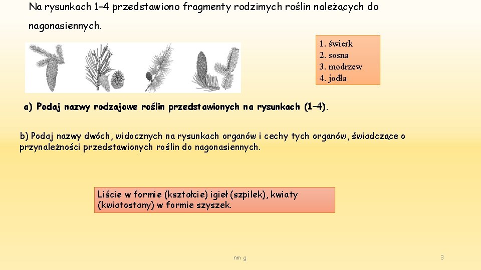 Na rysunkach 1– 4 przedstawiono fragmenty rodzimych roślin należących do nagonasiennych. 1. świerk 2.