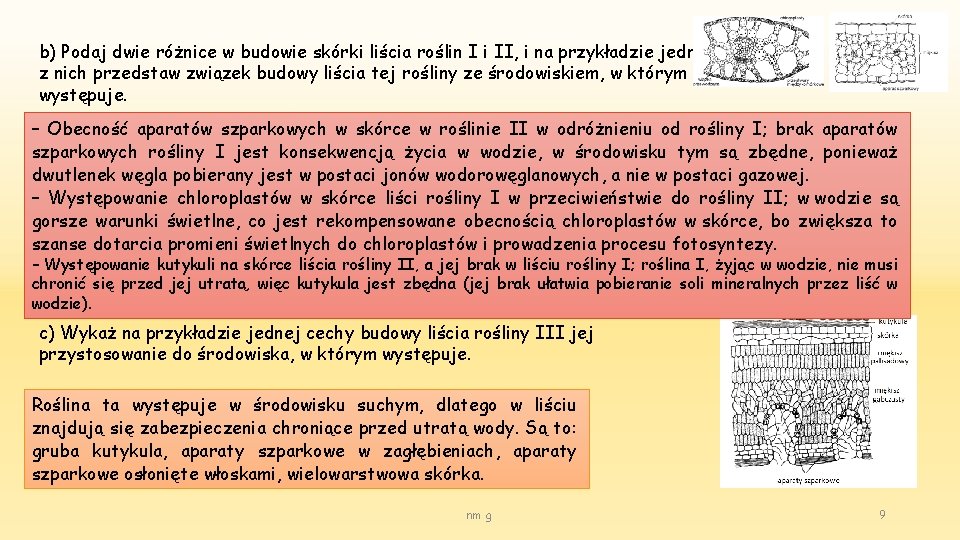b) Podaj dwie różnice w budowie skórki liścia roślin I i II, i na
