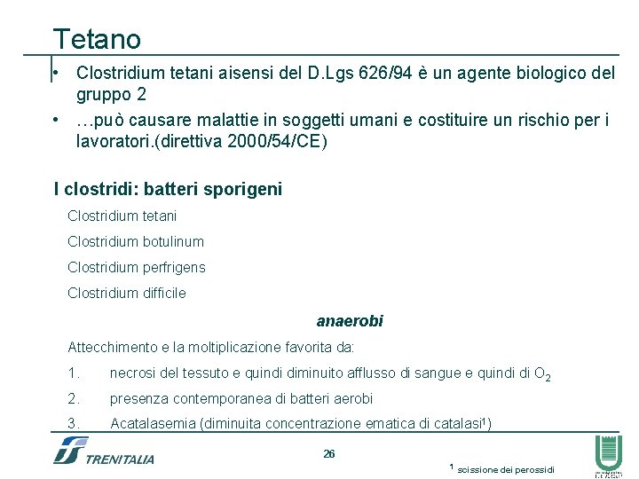 Tetano • Clostridium tetani aisensi del D. Lgs 626/94 è un agente biologico del
