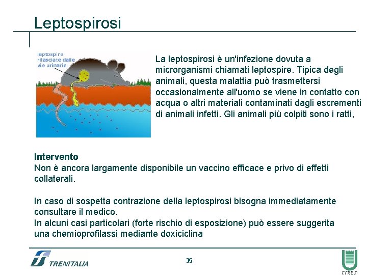 Leptospirosi La leptospirosi è un'infezione dovuta a microrganismi chiamati leptospire. Tipica degli animali, questa