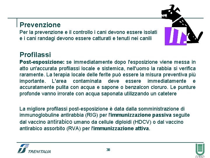 Prevenzione Per la prevenzione e il controllo i cani devono essere isolati e i