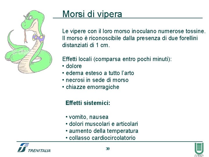 Morsi di vipera Le vipere con il loro morso inoculano numerose tossine. Il morso