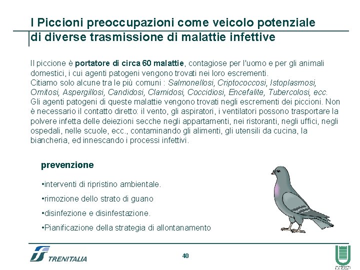 I Piccioni preoccupazioni come veicolo potenziale di diverse trasmissione di malattie infettive Il piccione