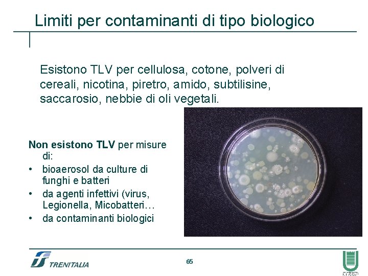 Limiti per contaminanti di tipo biologico Esistono TLV per cellulosa, cotone, polveri di cereali,