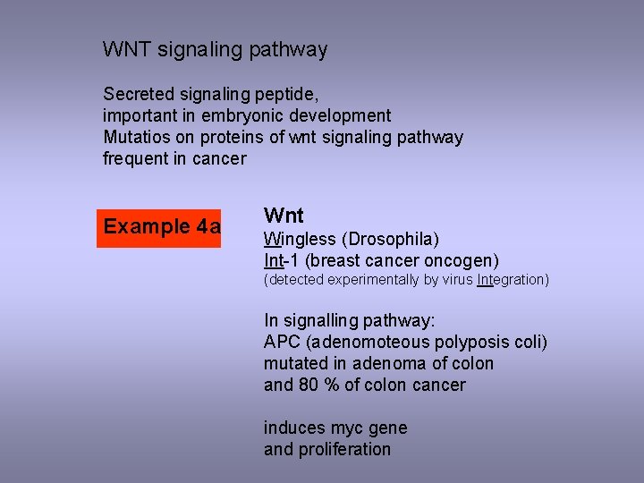 WNT signaling pathway Secreted signaling peptide, important in embryonic development Mutatios on proteins of