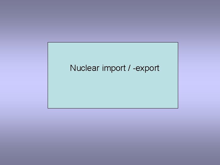 Nuclear import / -export 