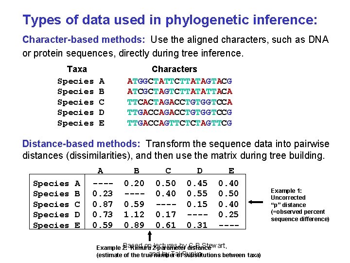 Types of data used in phylogenetic inference: Character-based methods: Use the aligned characters, such