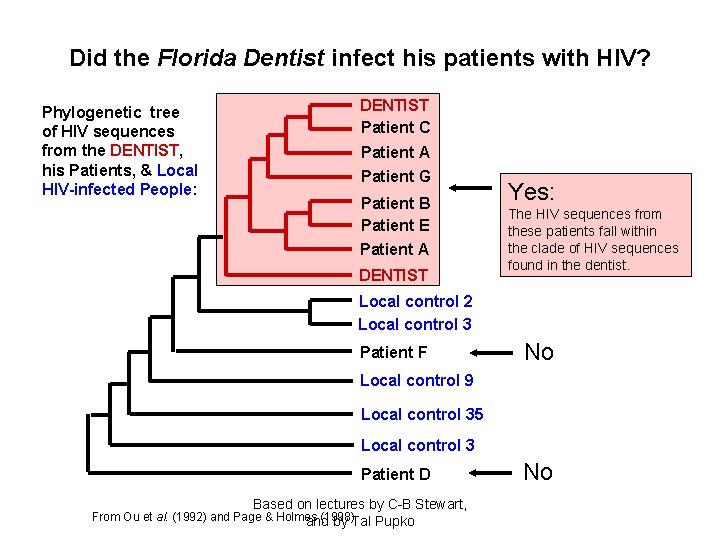 Did the Florida Dentist infect his patients with HIV? Phylogenetic tree of HIV sequences
