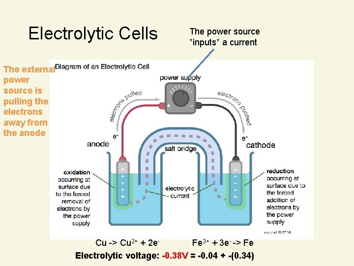 Electrolytic Cells The power source *inputs* a current The external power source is pulling