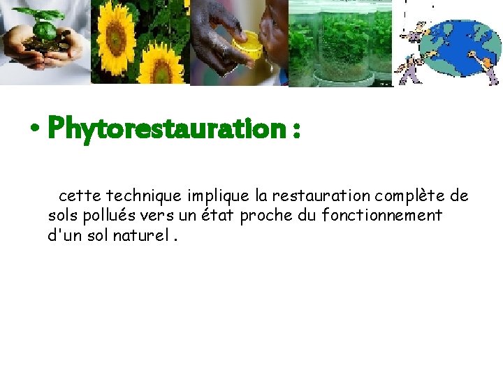  • Phytorestauration : cette technique implique la restauration complète de sols pollués vers