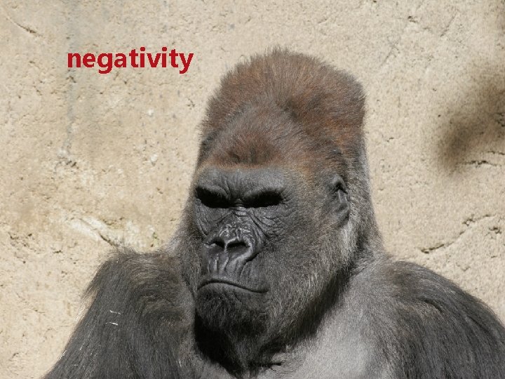negativity negativity