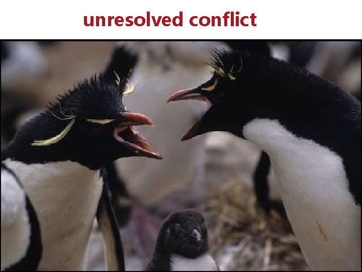 unresolved conflict unresolved conflict