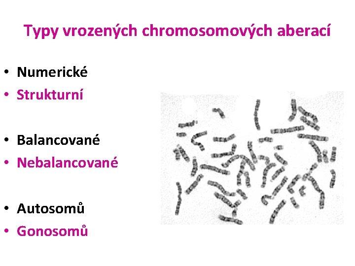 Typy vrozených chromosomových aberací • Numerické • Strukturní • Balancované • Nebalancované • Autosomů