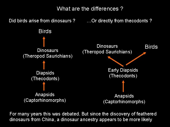 What are the differences ? Did birds arise from dinosaurs ? …Or directly from