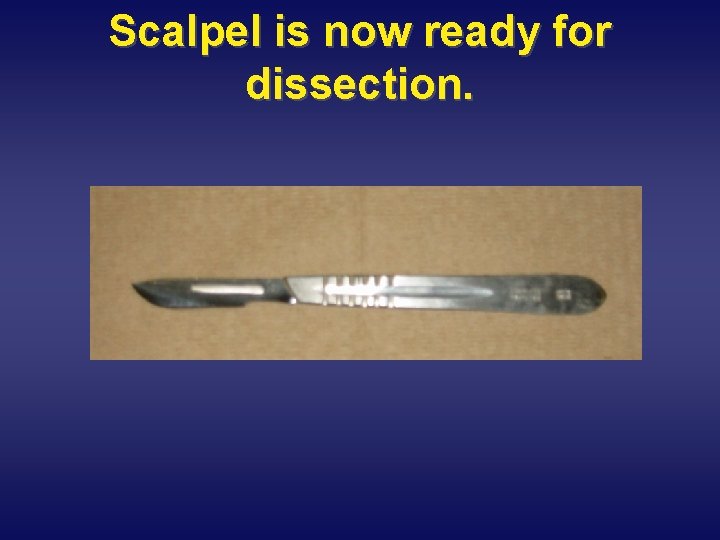 Scalpel is now ready for dissection. 