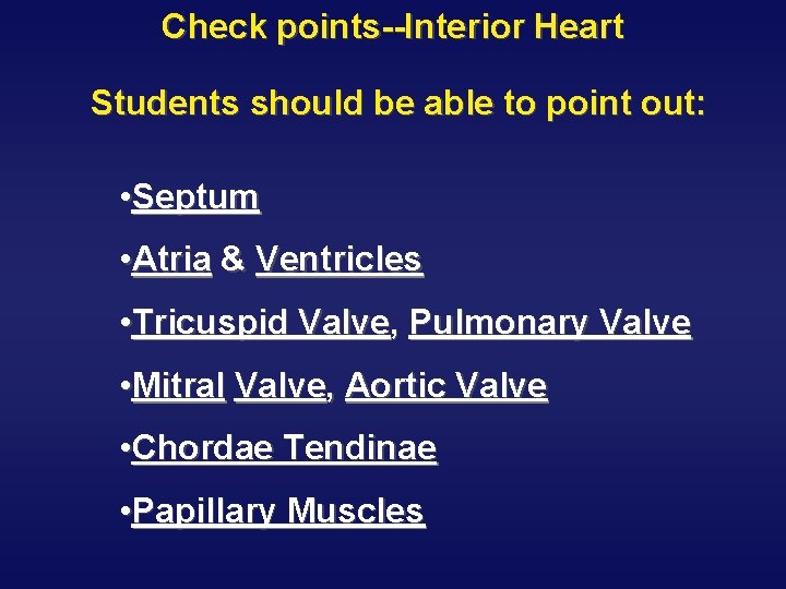 Check points--Interior Heart Students should be able to point out: • Septum • Atria