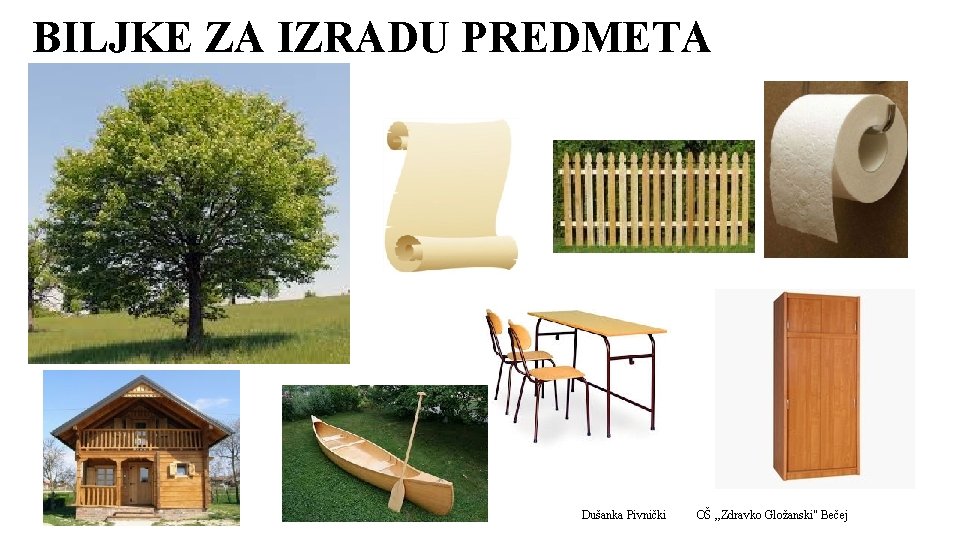 BILJKE ZA IZRADU PREDMETA 03. 06. 2019. Dušanka Pivnički OŠ , , Zdravko Gložanski"