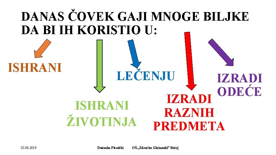 DANAS ČOVEK GAJI MNOGE BILJKE DA BI IH KORISTIO U: ISHRANI LEČENJU ISHRANI ŽIVOTINJA