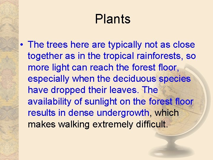 Plants • The trees here are typically not as close together as in the