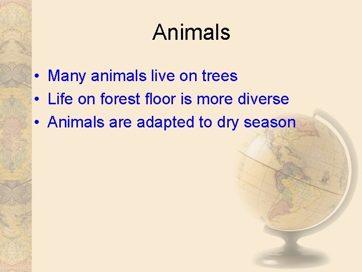Animals • Many animals live on trees • Life on forest floor is more