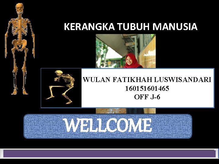 KERANGKA TUBUH MANUSIA OLEH: WULAN FATIKHAH LUSWISANDARI 160151601465 OFF J-6 WELLCOME NOW LOADING……………. 