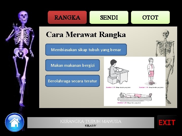 RANGKA SENDI Cara Merawat Rangka Membiasakan sikap tubuh yang benar Makan makanan bergizi Berolahraga