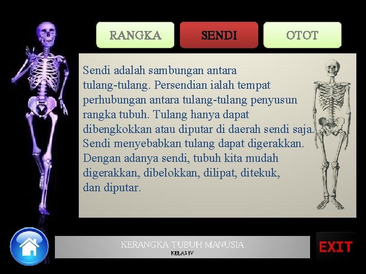 RANGKA SENDI OTOT Sendi adalah sambungan antara tulang-tulang. Persendian ialah tempat perhubungan antara tulang-tulang