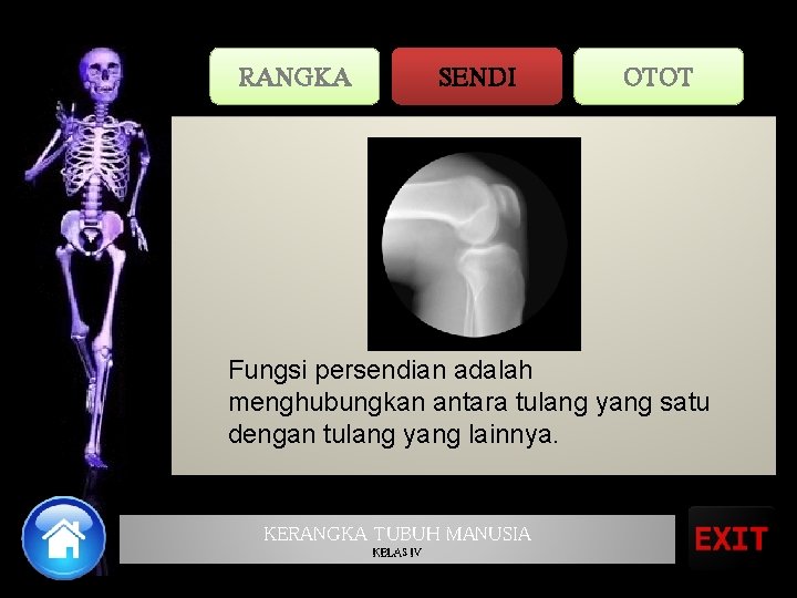 RANGKA SENDI OTOT Fungsi persendian adalah menghubungkan antara tulang yang satu dengan tulang yang