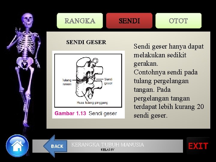 RANGKA SENDI GESER BACK Sendi geser hanya dapat melakukan sedikit gerakan. Contohnya sendi pada