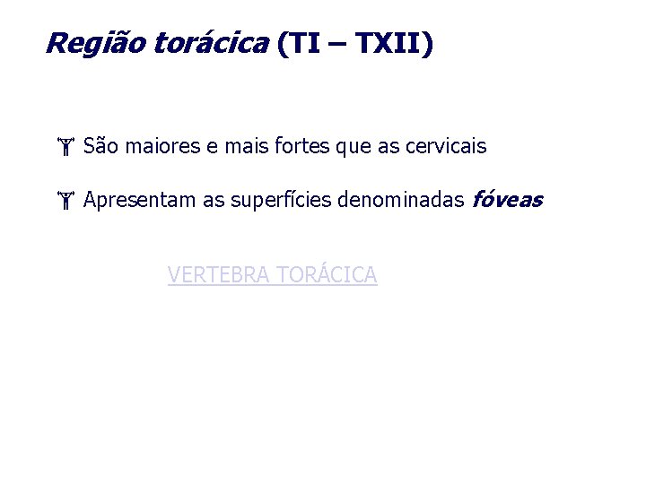 Região torácica (TI – TXII) São maiores e mais fortes que as cervicais Apresentam