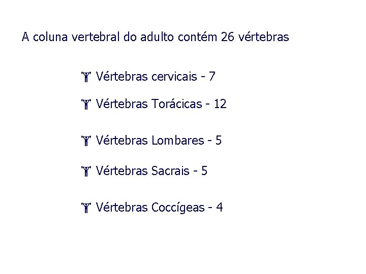 A coluna vertebral do adulto contém 26 vértebras Vértebras cervicais - 7 Vértebras Torácicas