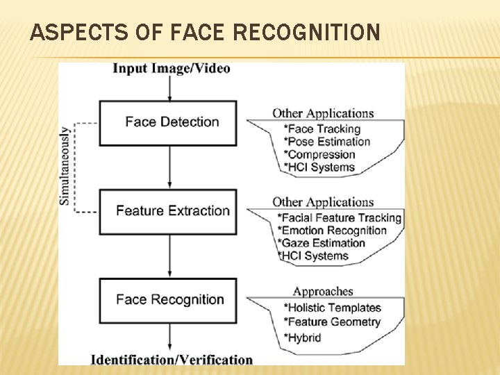 ASPECTS OF FACE RECOGNITION 