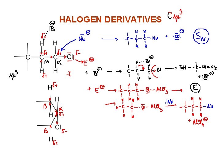 HALOGEN DERIVATIVES 