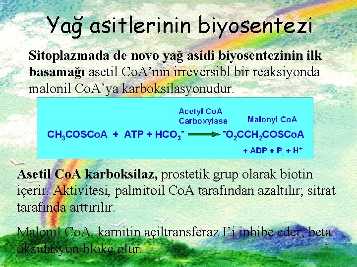 Yağ asitlerinin biyosentezi Sitoplazmada de novo yağ asidi biyosentezinin ilk basamağı asetil Co. A’nın
