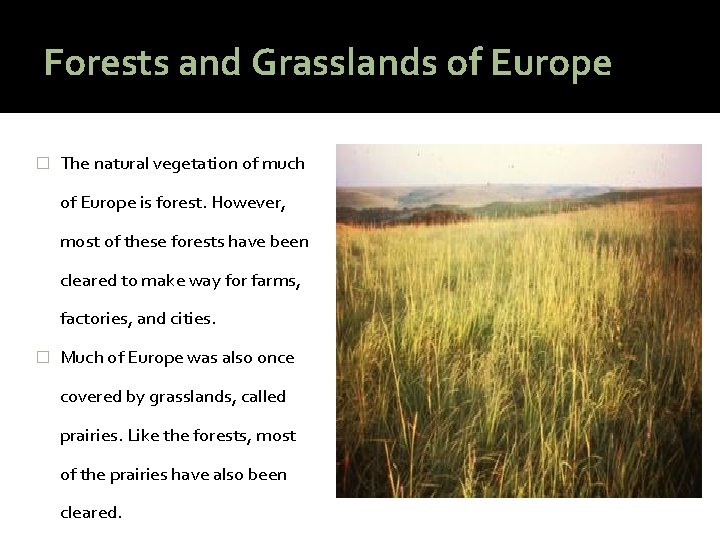 Forests and Grasslands of Europe � The natural vegetation of much of Europe is