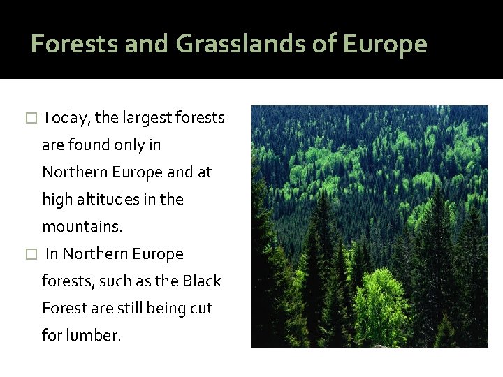 Forests and Grasslands of Europe � Today, the largest forests are found only in
