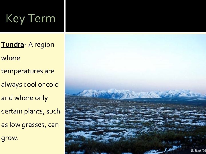 Key Term Tundra- A region where temperatures are always cool or cold and where