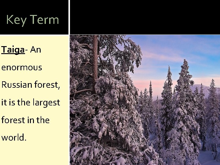 Key Term Taiga- An enormous Russian forest, it is the largest forest in the