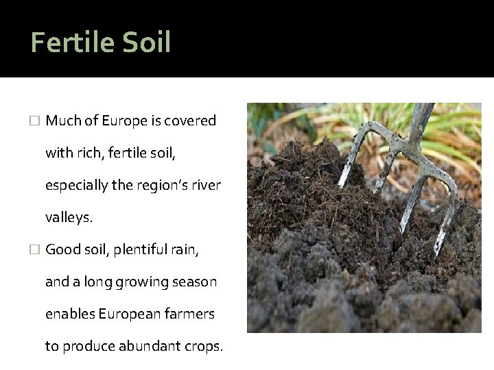 Fertile Soil � Much of Europe is covered with rich, fertile soil, especially the