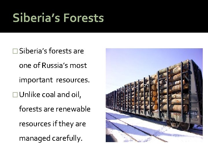 Siberia’s Forests � Siberia’s forests are one of Russia’s most important resources. � Unlike