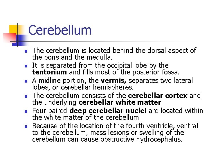 Cerebellum n n n The cerebellum is located behind the dorsal aspect of the