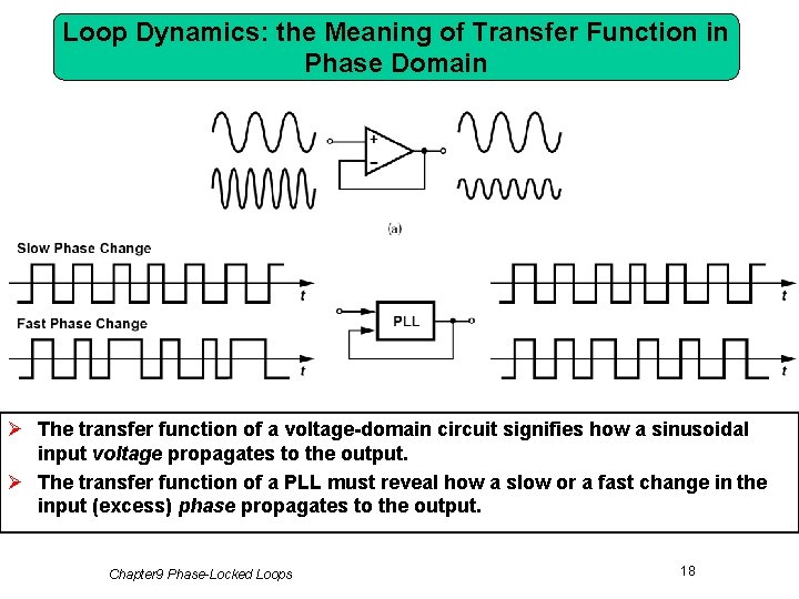 Loop Dynamics: the Meaning of Transfer Function in Phase Domain Ø The transfer function